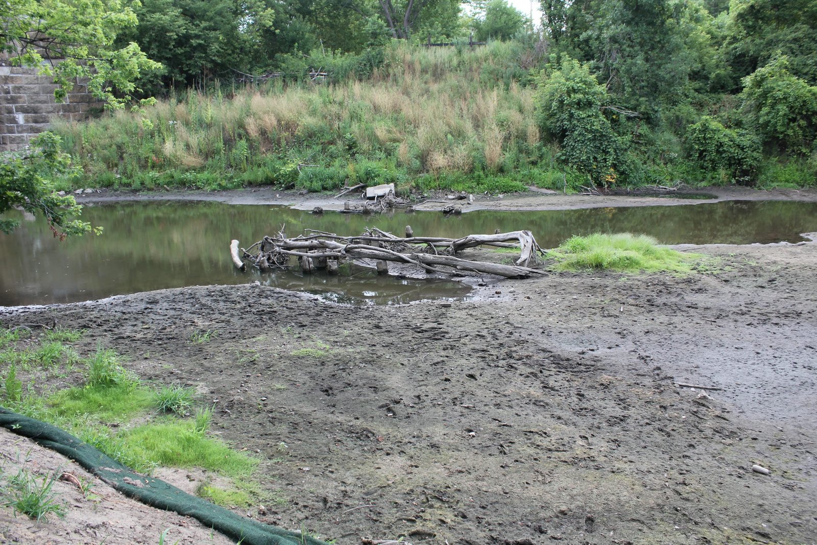 Cut off pilings in stream bed